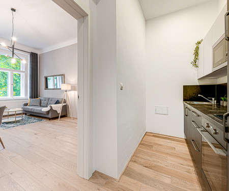 Beautiful renovated apartment w/ balcony elevator