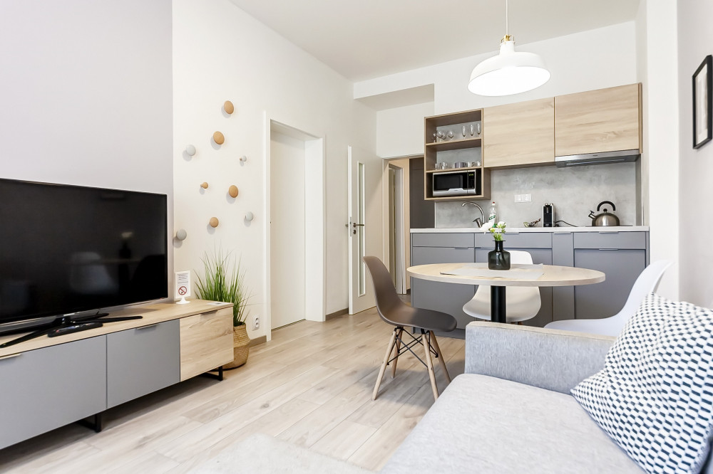 Newly furnished apartment by the metro, Prague 5 preview