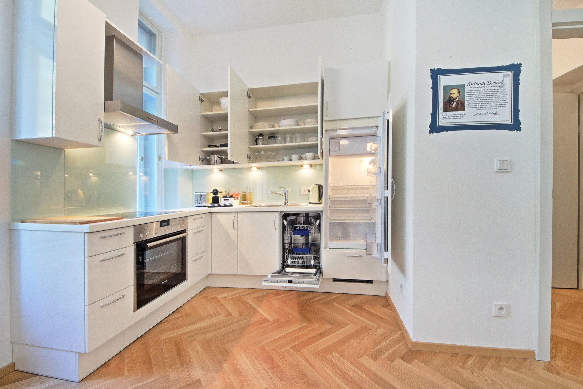 dishwasher, oven, stove, fridge, coffee machine