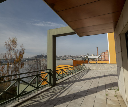 Apartment 30m from the Douro River