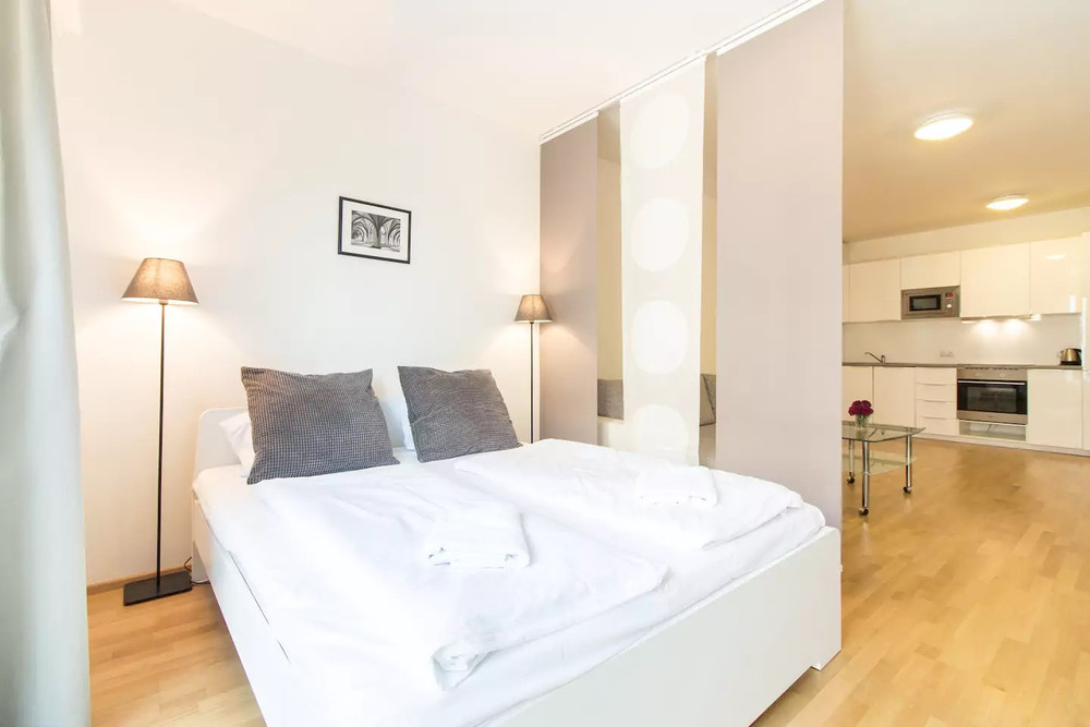 Spacious apartment preview