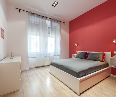 Spacious, quiet, elegant flat in Budapest