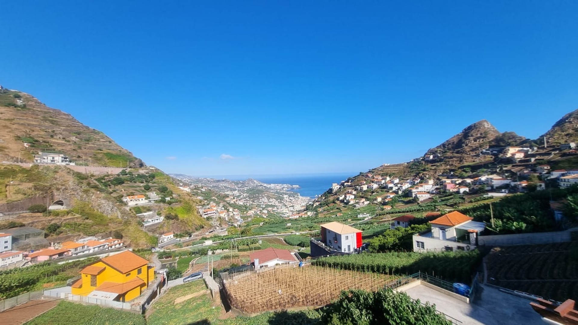 The stunning view that combines the lush green of the mountains with the enchanting contrast of the city of Funchal in the background, creating a unique setting.