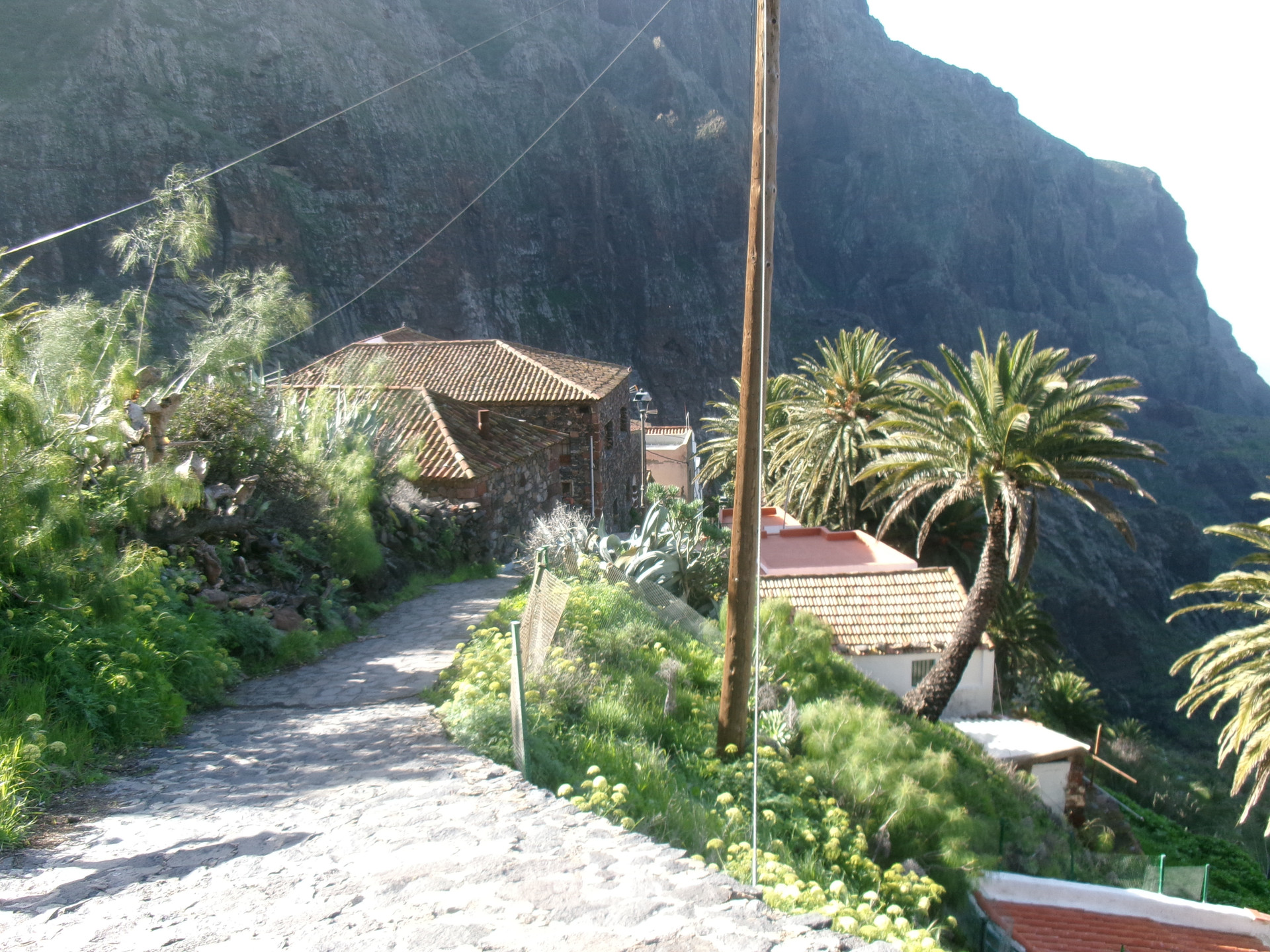 Paseo para llegar a la casa 
