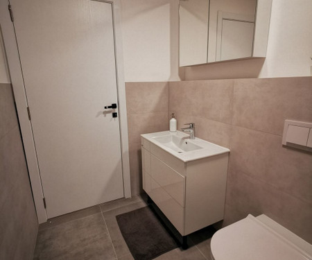 Apartman Radauševa ulica