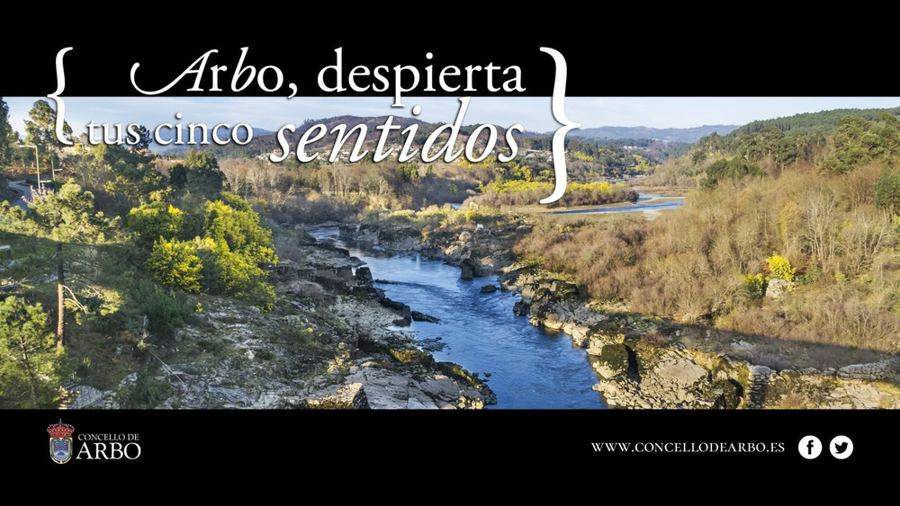 Image #13