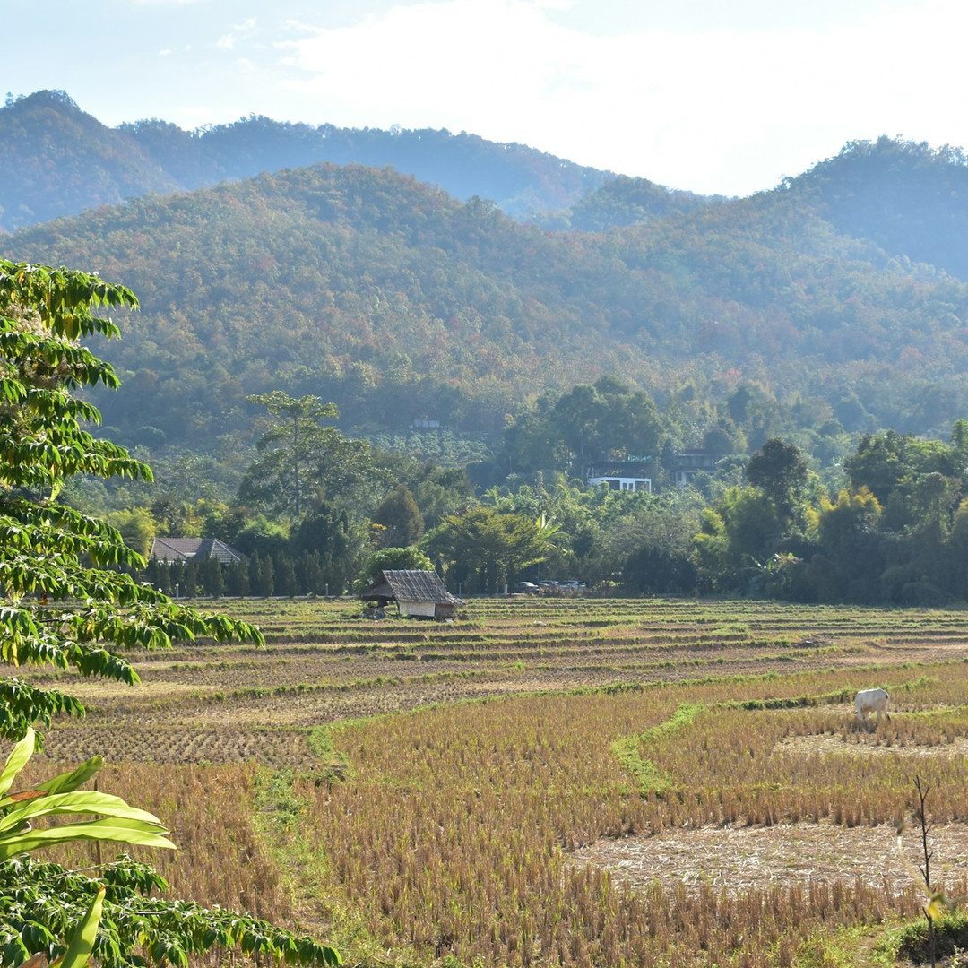 Cheap furnished apartments for rent in Pai, Thailand