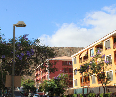 Lovely apartment with pool in Palm Mar Tenerife