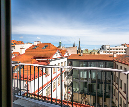 Amazing loft with terrace in the city center