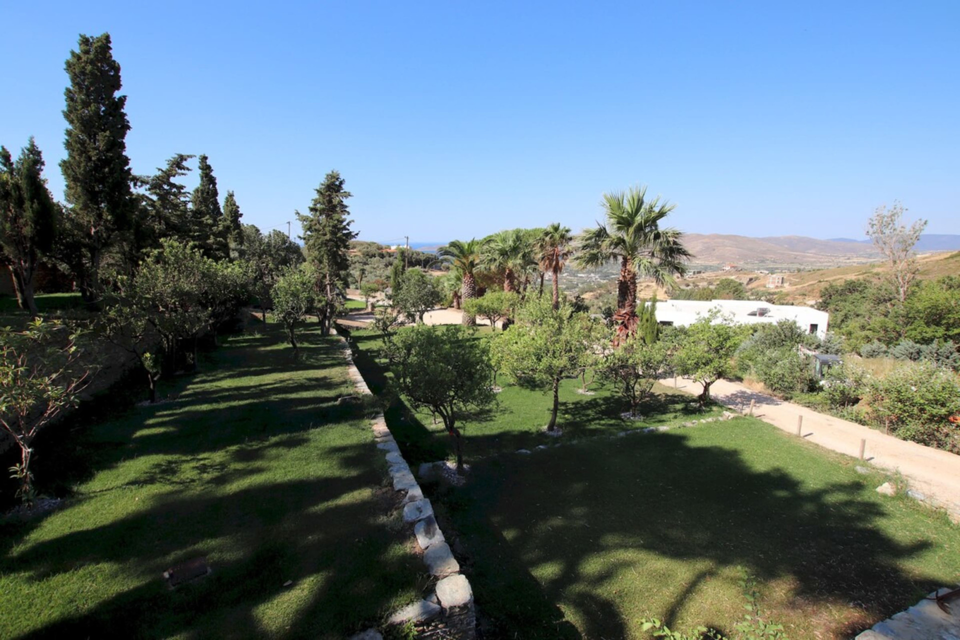 Exterior: Garden