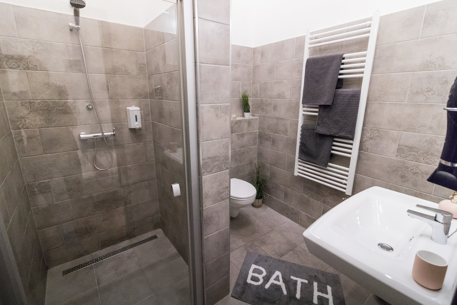 Modern shower and toilet