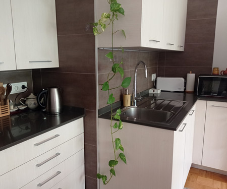 Bright apartment with trees in Barcelona