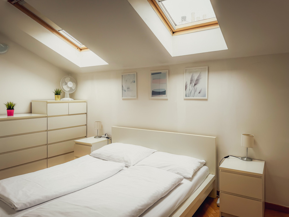 Sunny, modern, and comfortable apartment preview