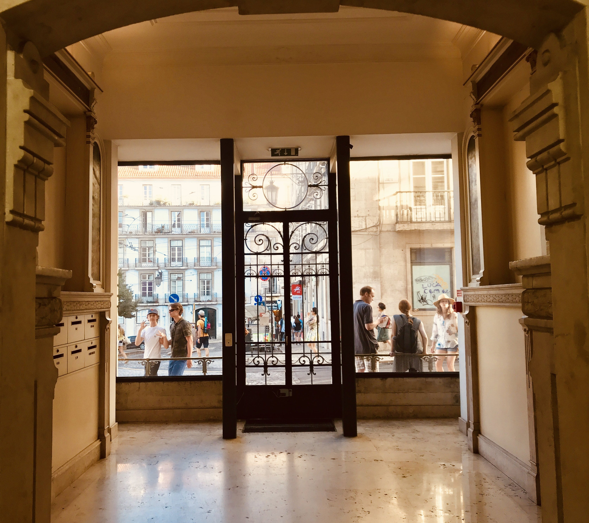 Elegant building entrance iron door