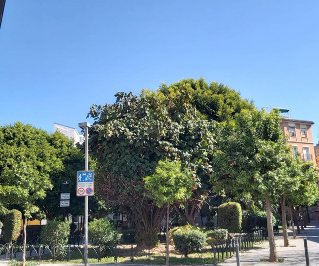 Del Parque Flats Urban Relax