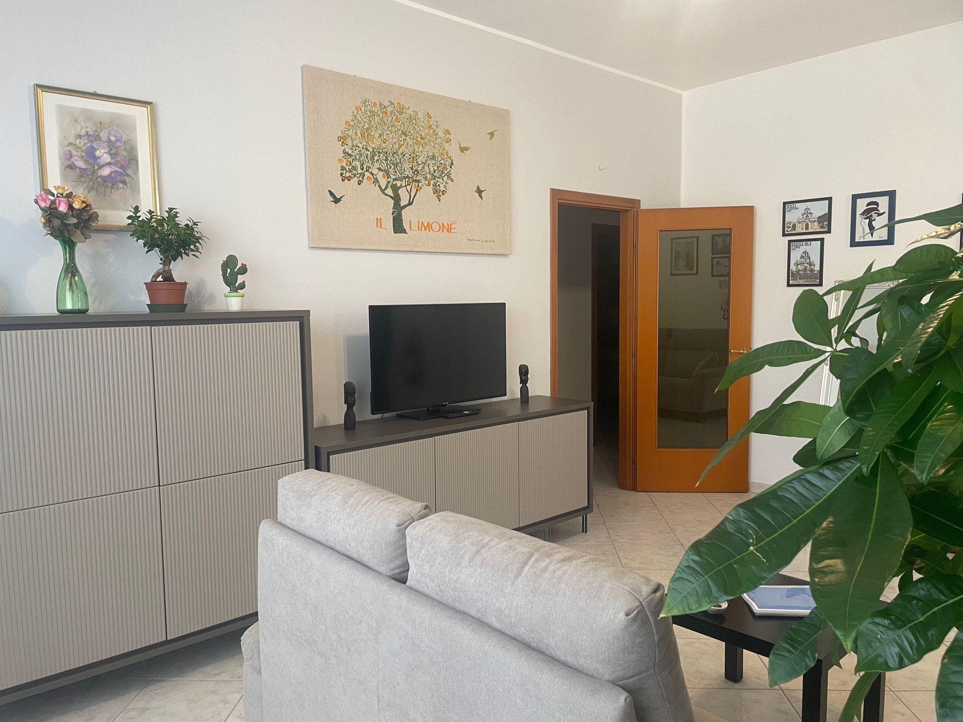 Living room with sofa and TV