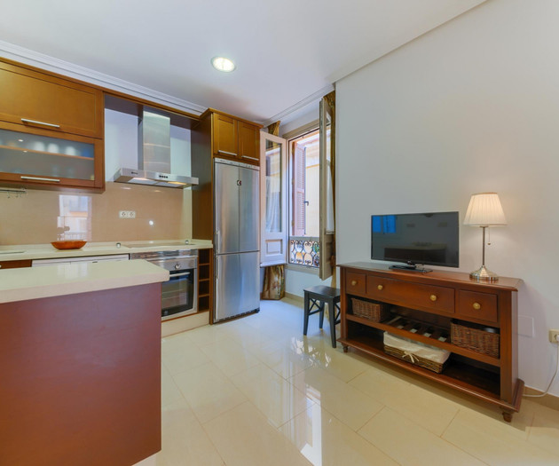 Holidays2Malaga Lazcano in old town with High WIFI