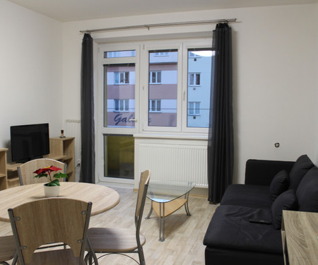 Cozy apartment in the center of Brno