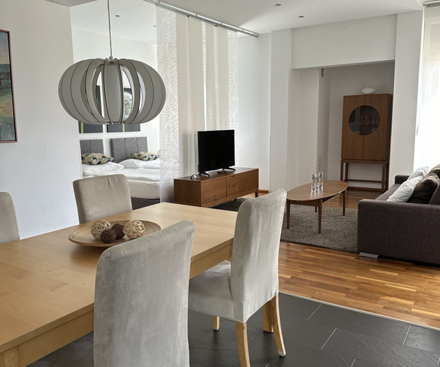 Stylish 55 m² Studio in Zadar