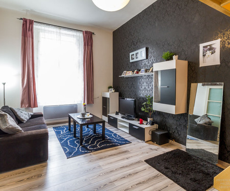 Cozy apartment in the heart of Žižkov