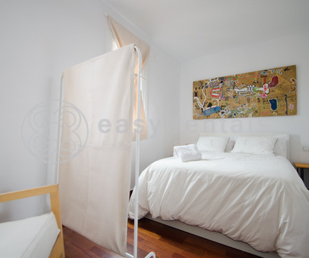 Precious furnished penthouse near Rambla del Raval