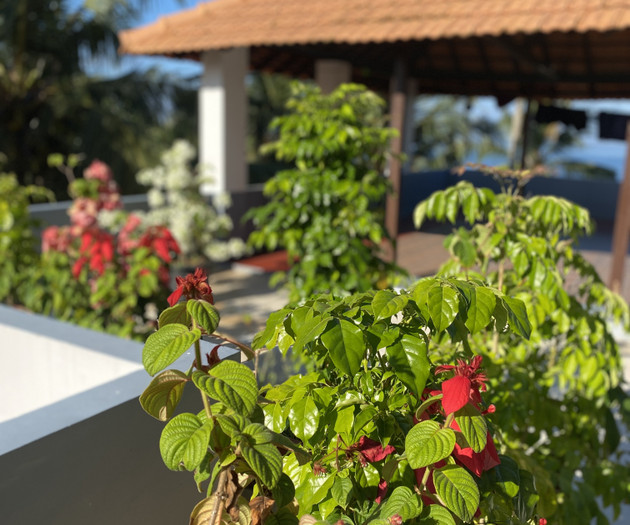 Heart of Kovalam Ocean View Kesaviyam Luxury Home
