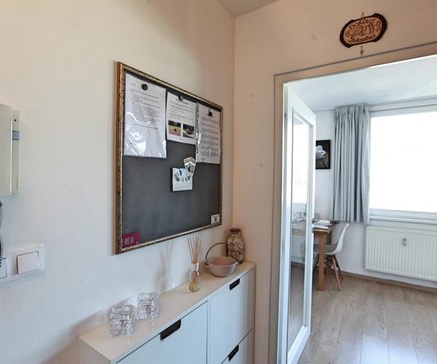 One-bedroom apartment, Karlín, Molákova