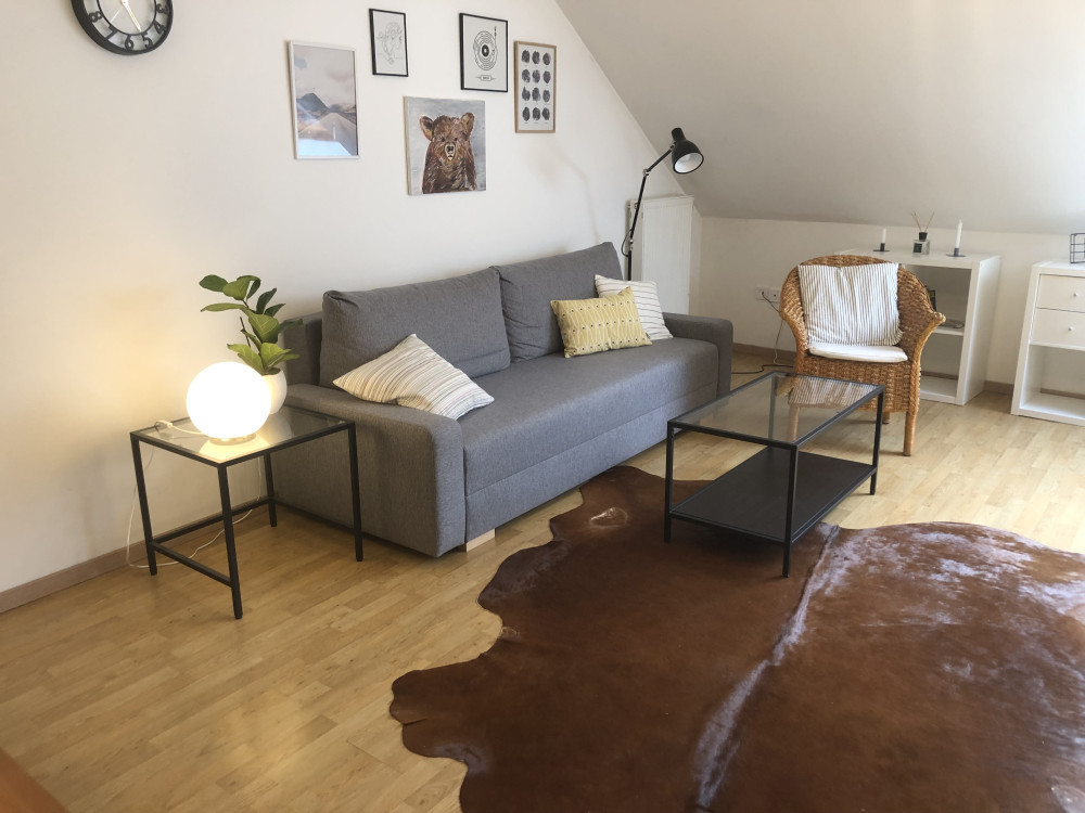 Freshly renovated studio few steps from the Uni preview