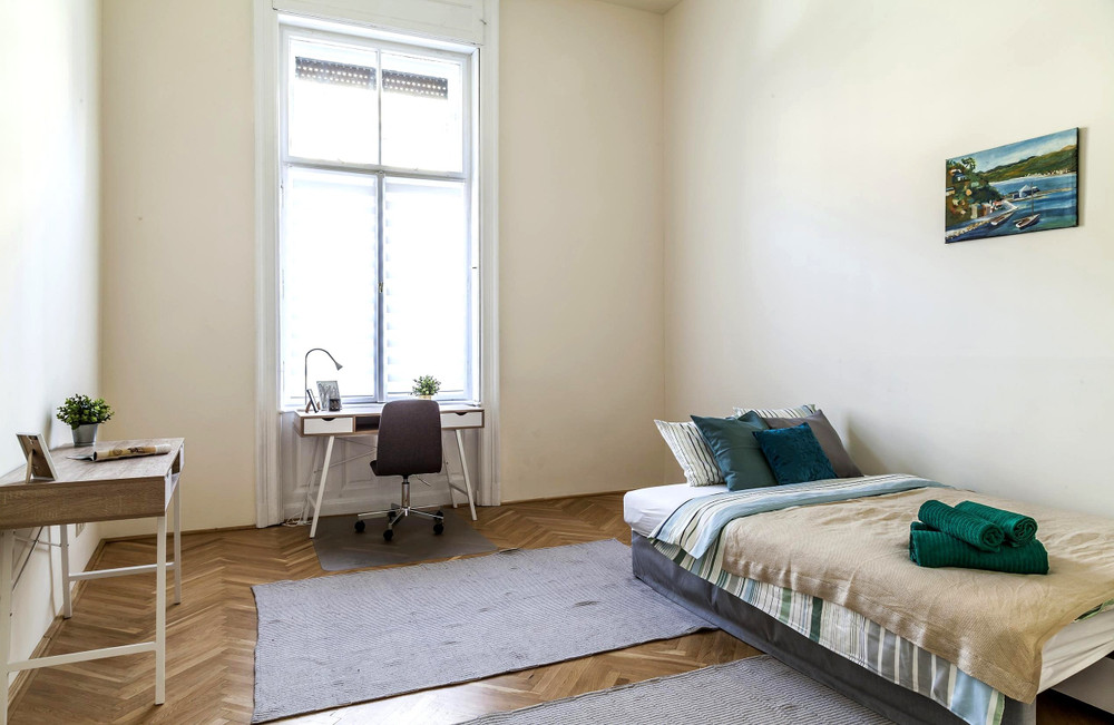 Large A/C Room in Downtown Budapest preview