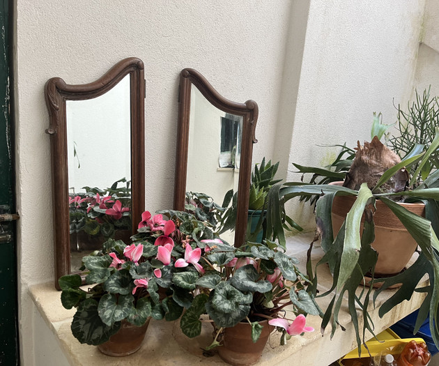 Mirrors and plants on ledge