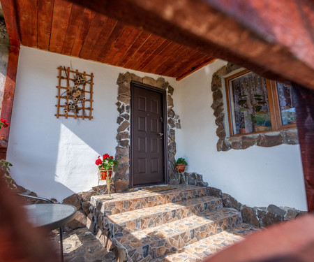 Transylvanian Cottage with Private Swimming Pool