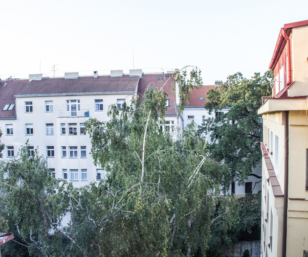 Sunny apartment in the center of Prague