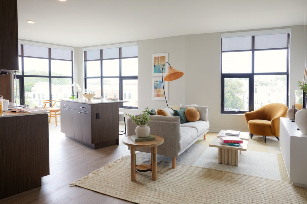 Modern Furnished Apartment in South Boston preview