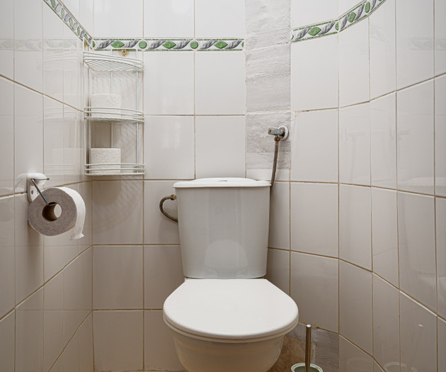 Premium Lion Suite | Grand Vinohrady Home
