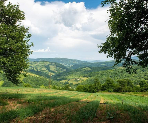 The farm is located 13 km from Mojkovac