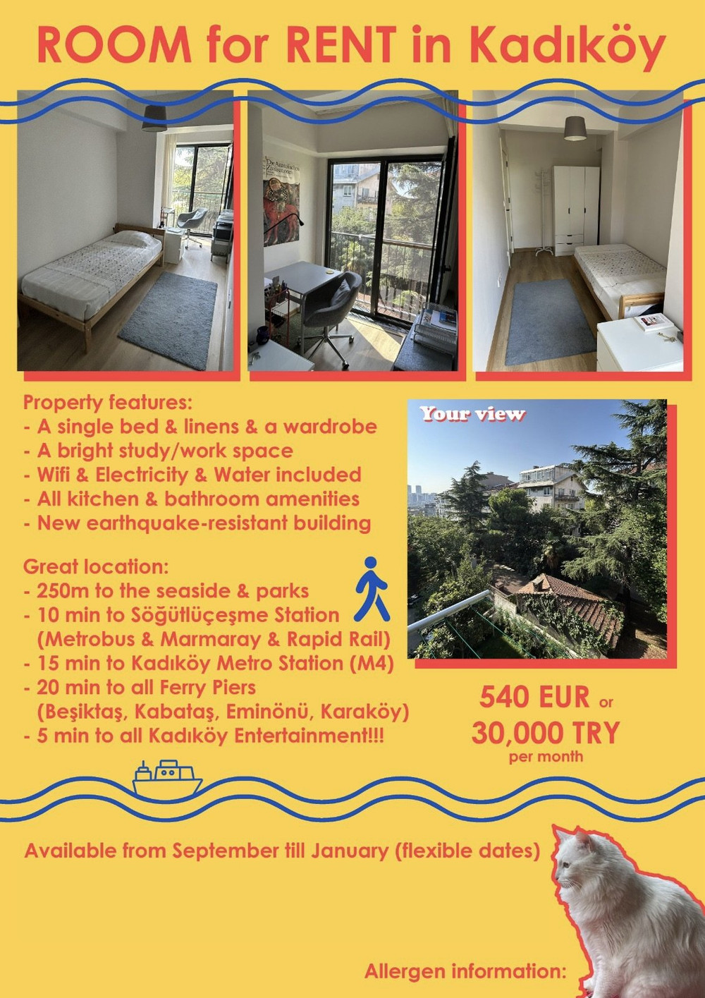 Bright Room in Central Kadikoy preview