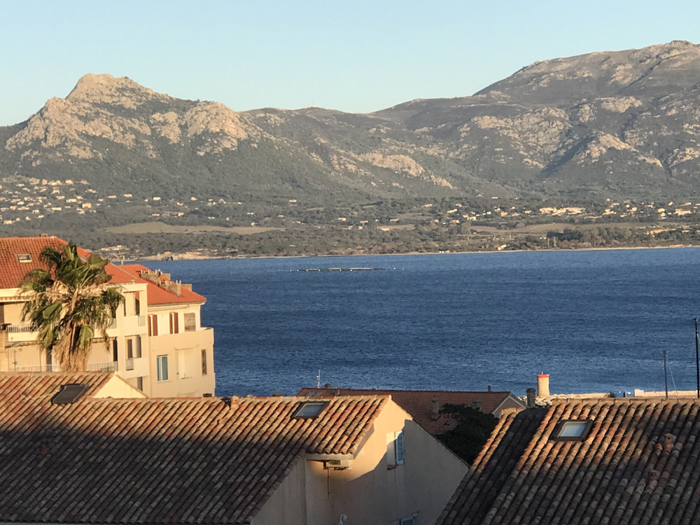 Apartment with Panoramic Sea View preview