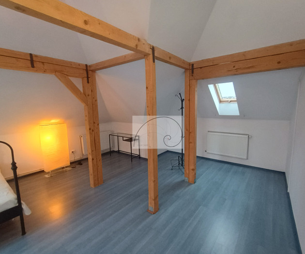 Elegant Duplex in Villa • Central Bucharest