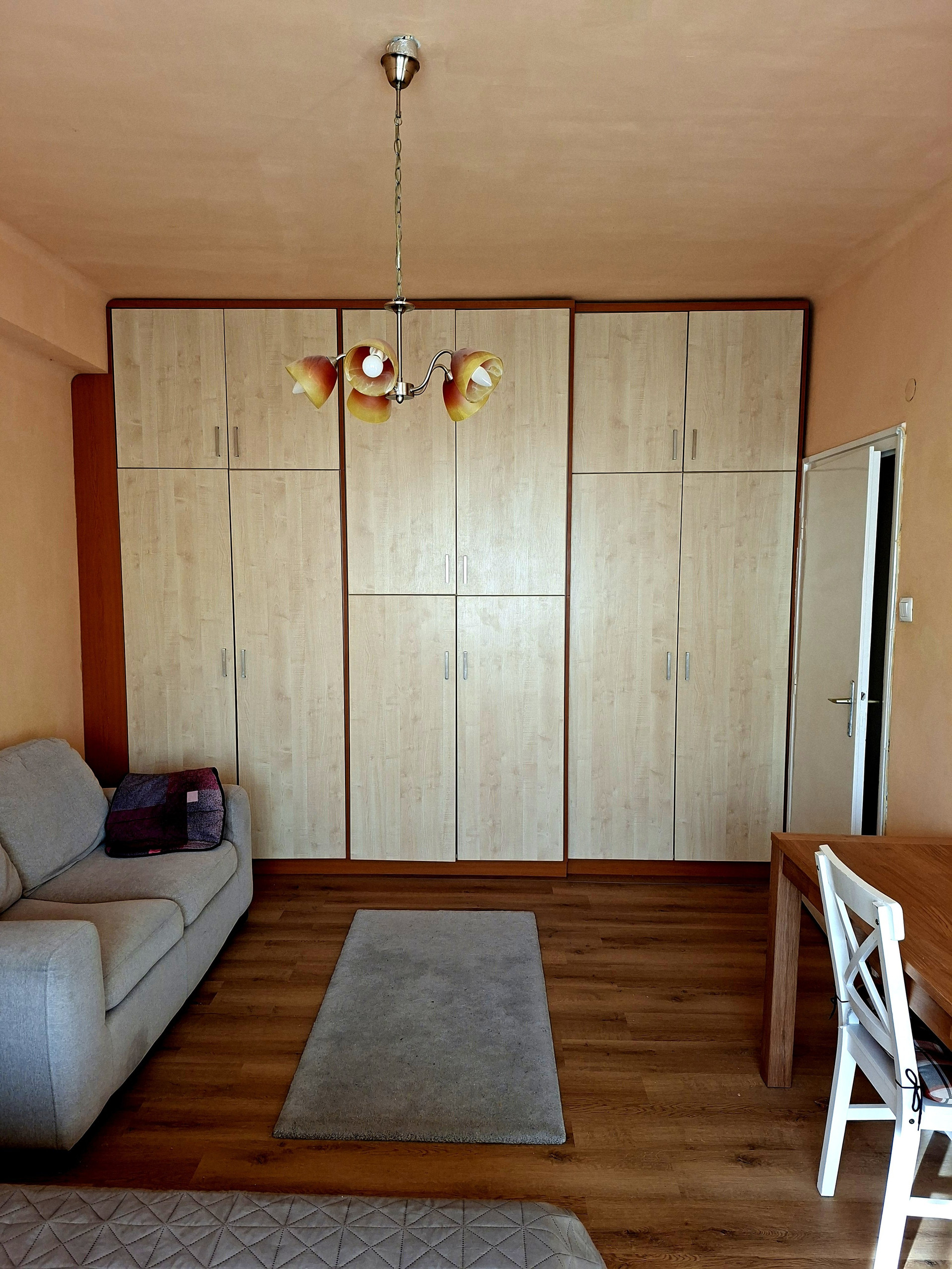 Living area with large wardrobe