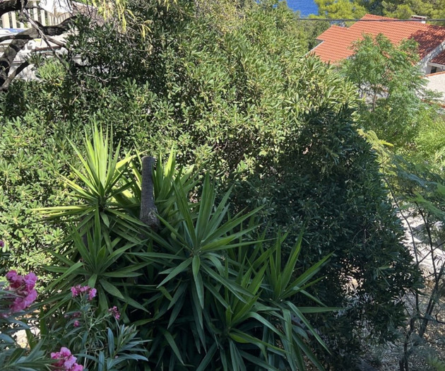 Nature Paradise by the Sea – House - Brac