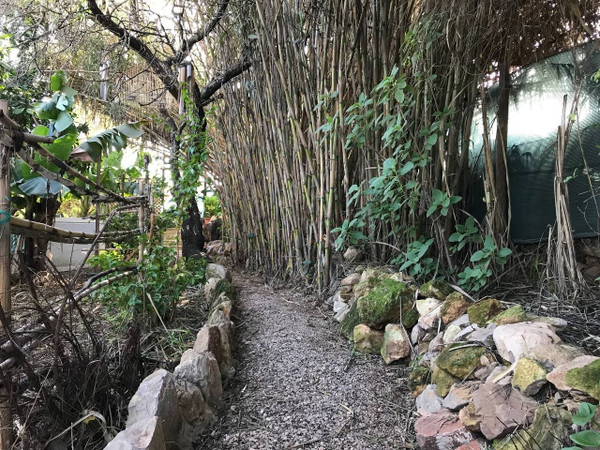Jardín