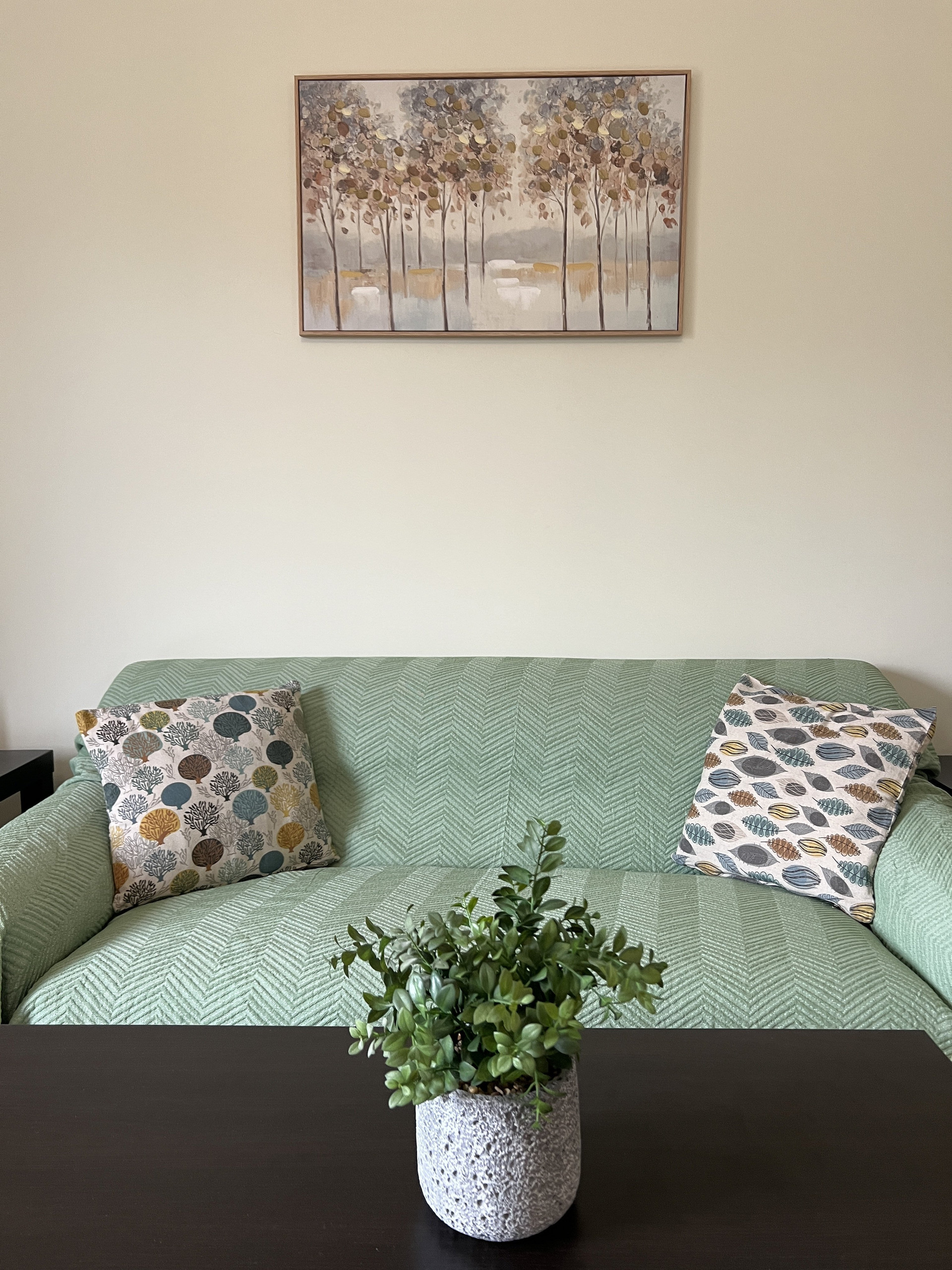 Green sofa and plant