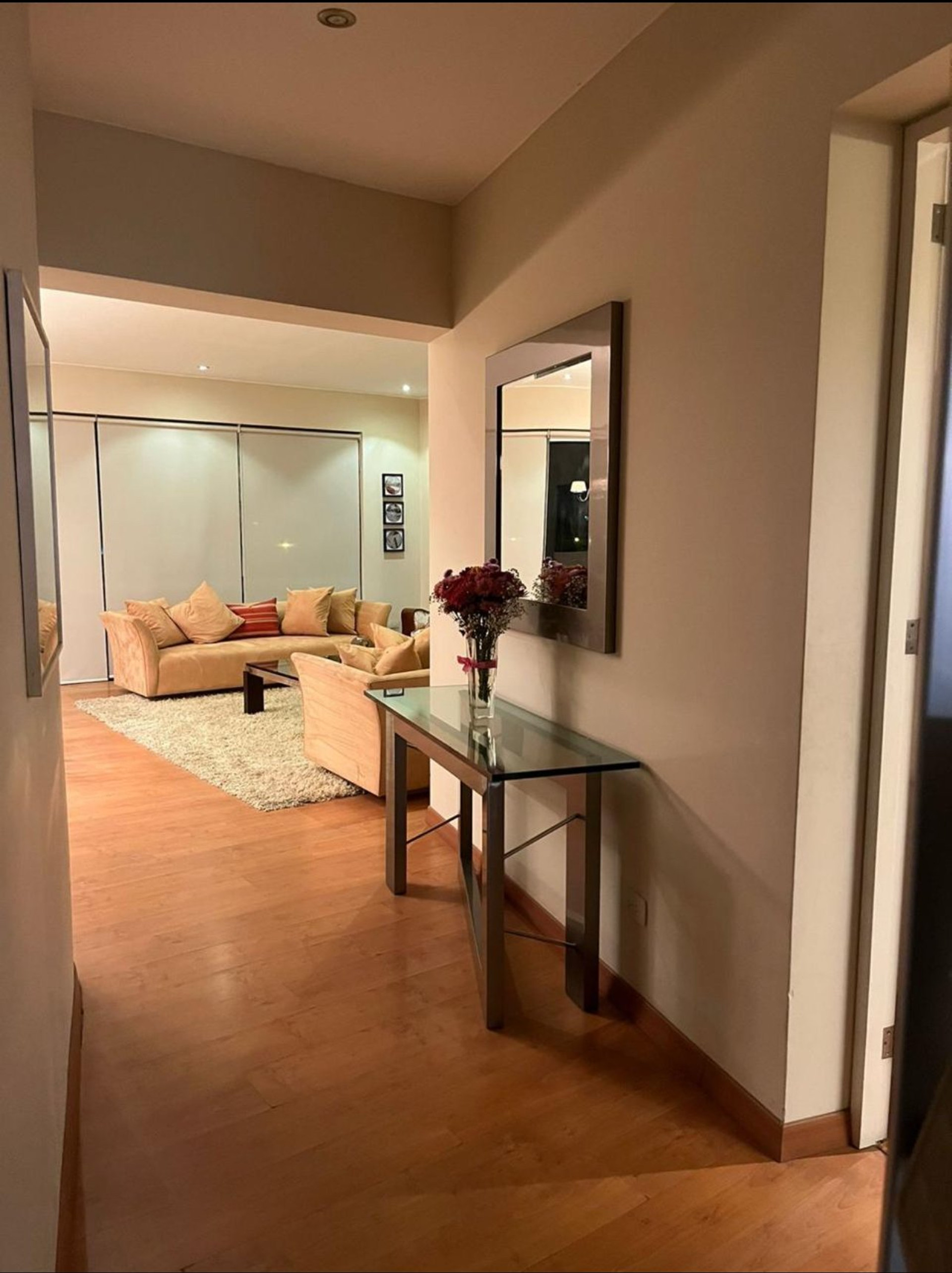 Entryway leading to living room