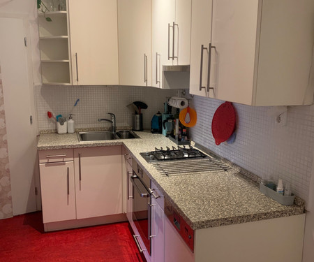 Sunny apartment for 4 person nearby city center