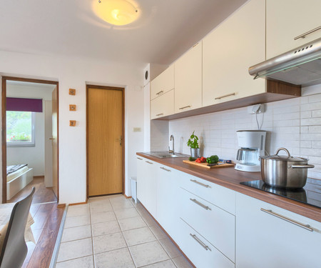 Apartman Ližnjanska cesta