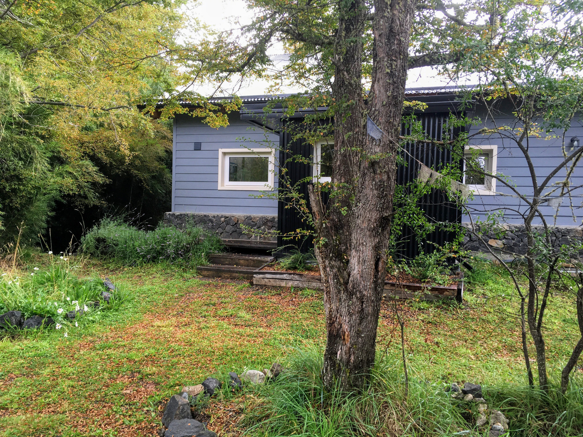 Casa inmersa en un bosque de ñire