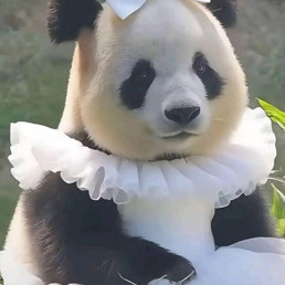 Landlords profile photo