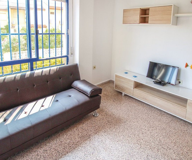 Living room with brown sofa