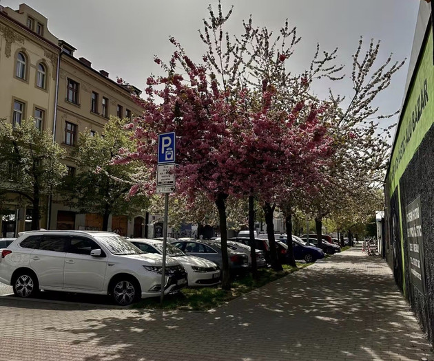 The Maniny Loft Holešovice