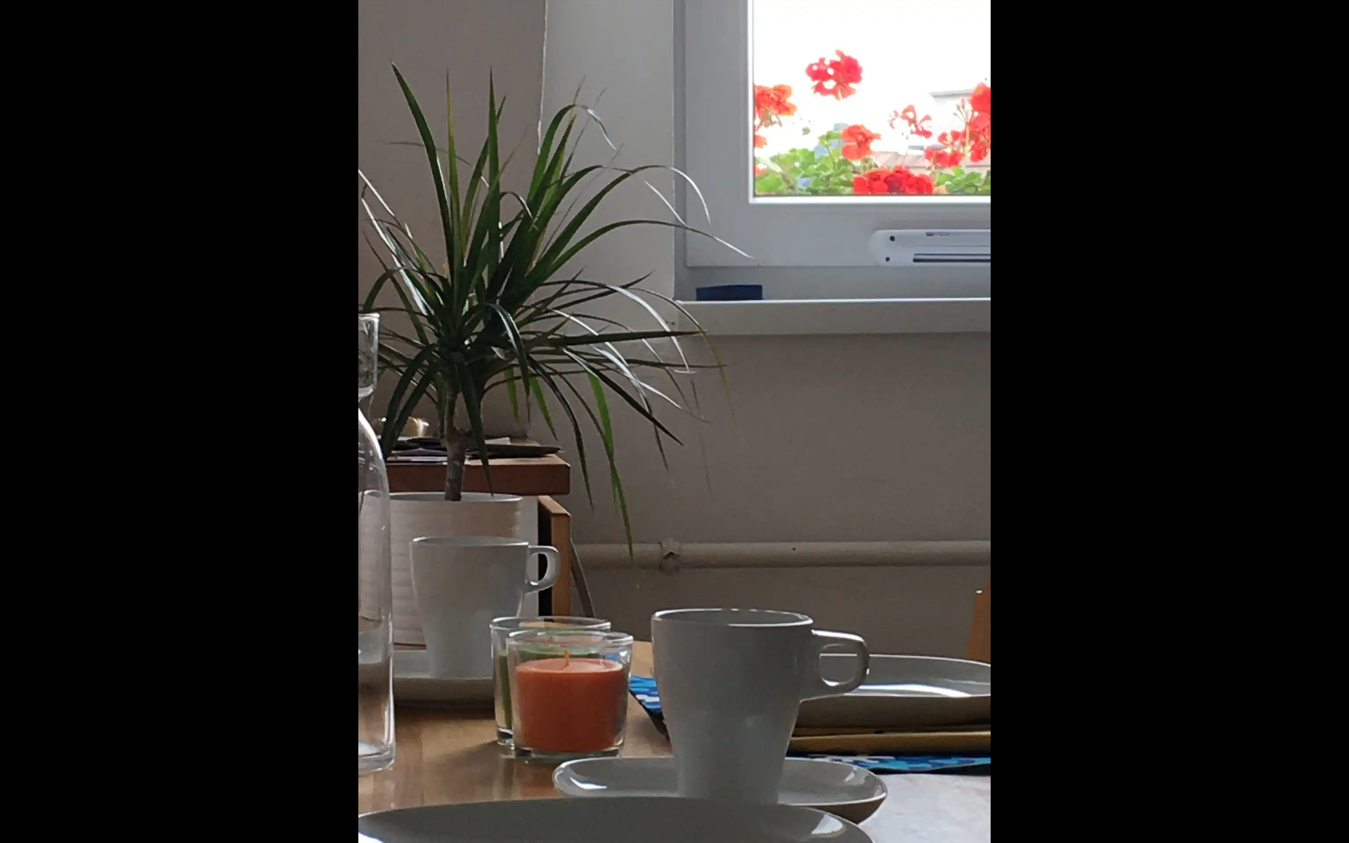View from the kitchen facing east